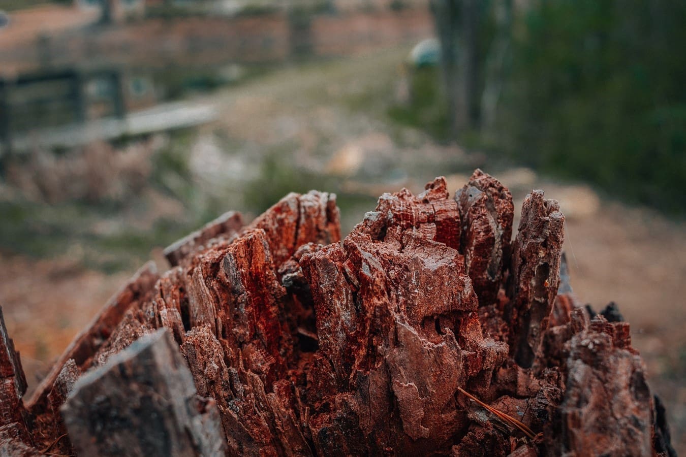 Minerales de zonas de conflicto 2021: repercusiones de la nueva legislación de la UE