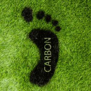 footprint in grass with carbon written within imprint.